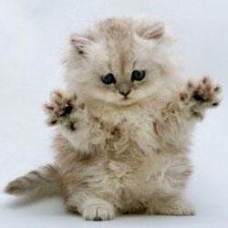 asekkaki1's profile picture. 局所多汗症ですが、汗と臭いを克服してもてる男へ邁進中！＃フォロー＃リフォロー＃相互フォロー 大歓迎です！(≧∇≦)