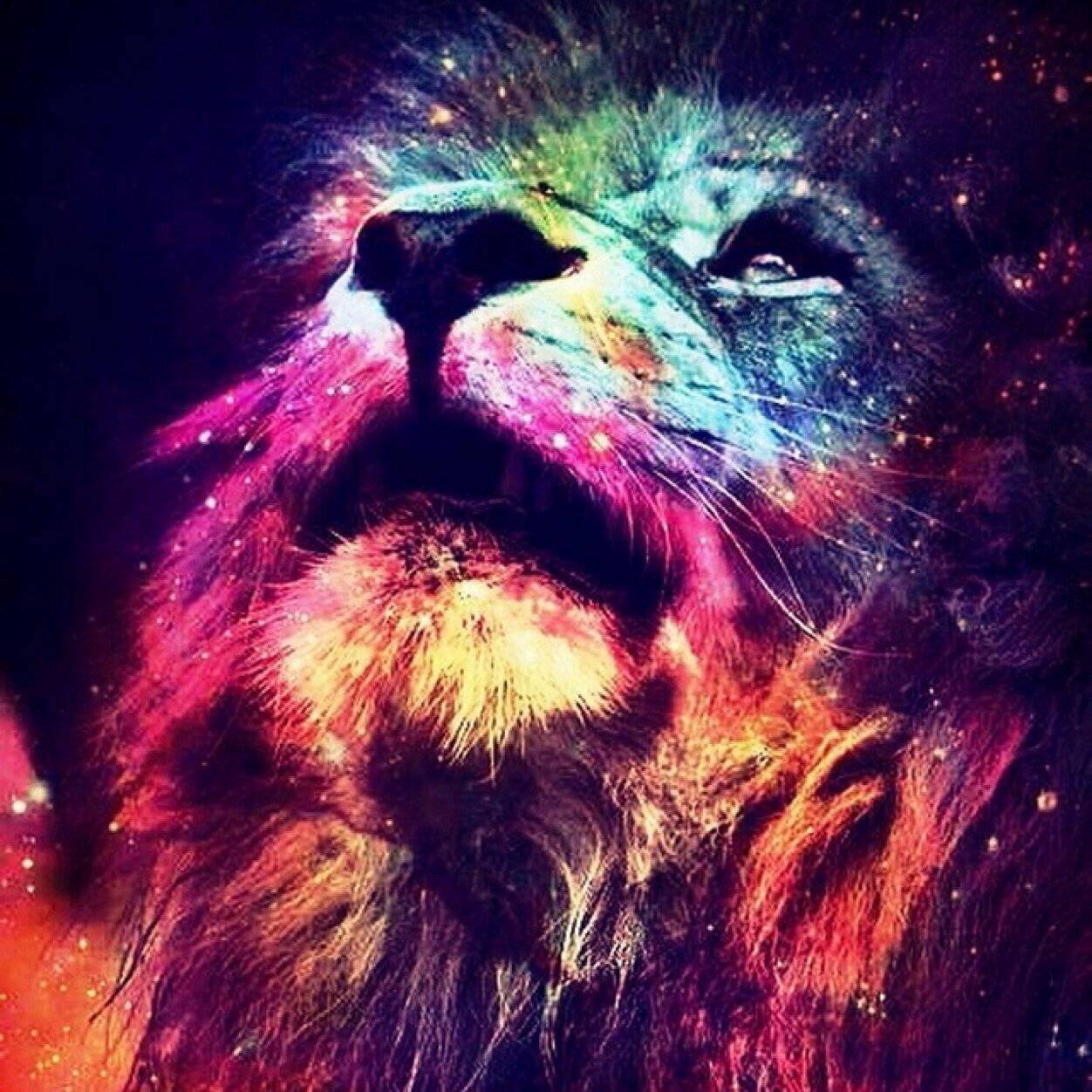 HHSBALL32's profile picture. 