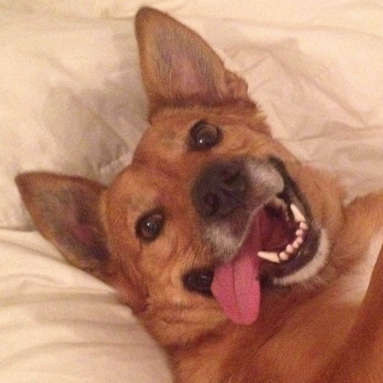 d: )