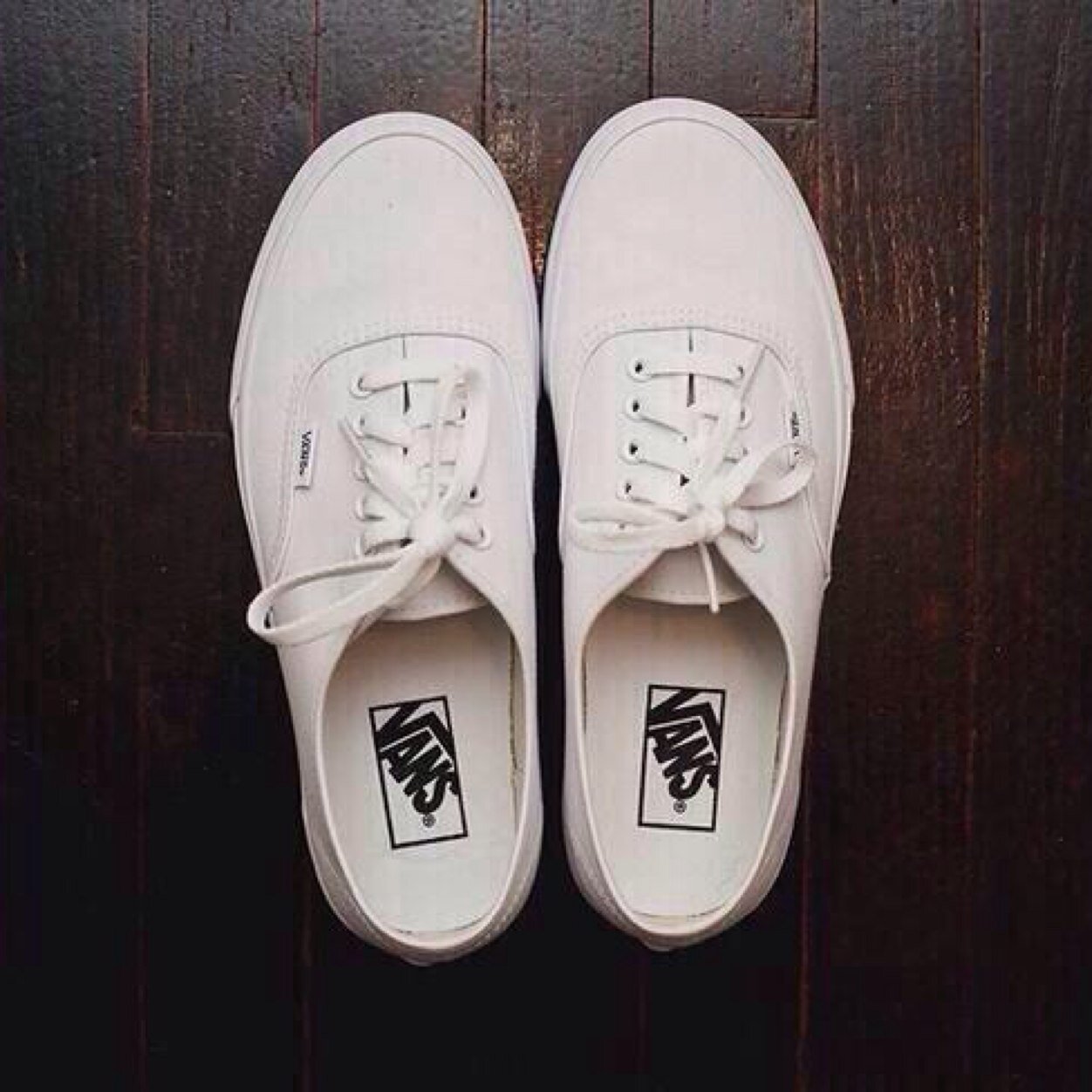 Not real porn 
Just vans porn