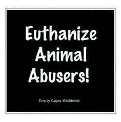 Animal Lover Veteran LBGT Dream Opening Animal Rescue