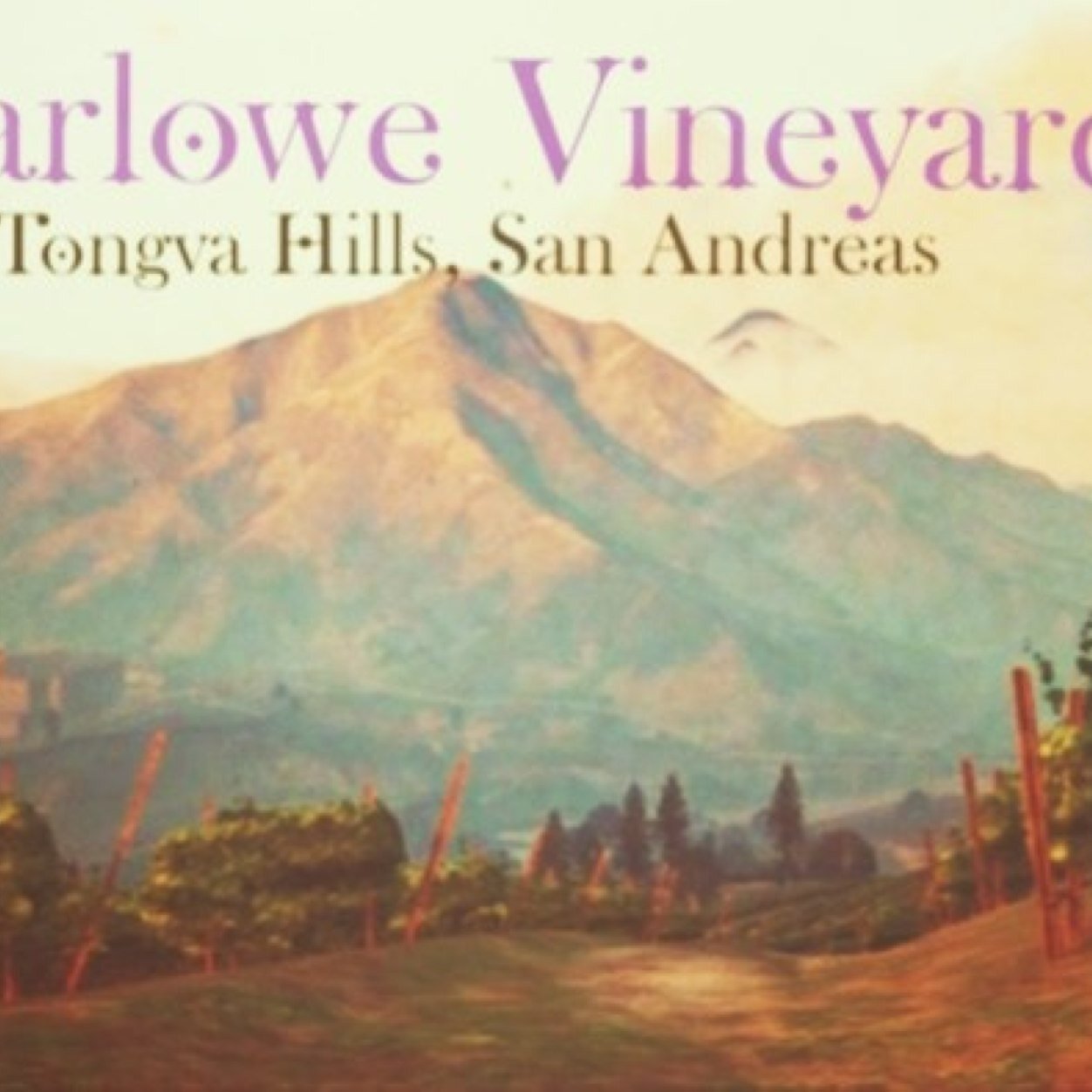 Chardonnay, merlot, or moscato? There's something for everyone at Marlowe Vineyards in beatiful wine country in San Andreas.