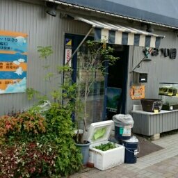 aqua_mitsuien's profile picture. 広島県福山市にある観賞魚専門店です。
熱帯魚、金魚、水草、海水魚など取り扱っております。更新内容は,生体の入荷情報　イベント情報など最新情報を配信！詳細は、みつい園のブログ『みつい園情報局』でご確認ください。お問い合わせは、店頭にてお受けしておりますのでよろしくお願いします。動物取扱業登録証福山市178015