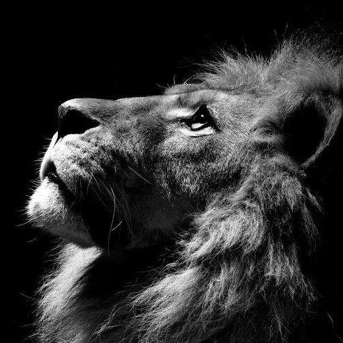 JuraatAjgar's profile picture. I can't control the wind but I can adjust the Sail