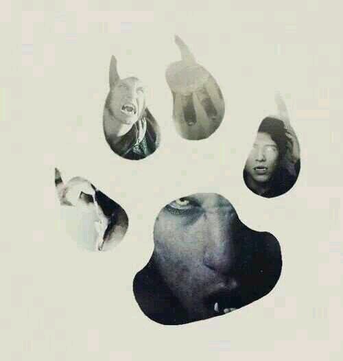teen wolf is my life