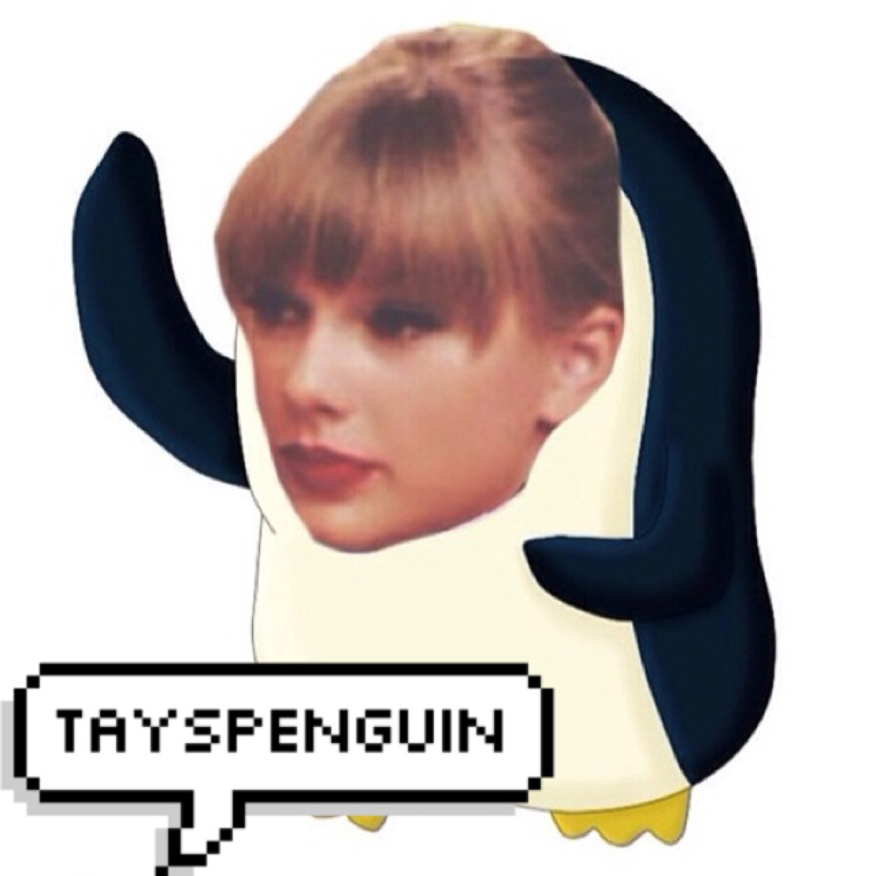 in a love with a girl named tswift and a youtuber called jacksgap. 3
