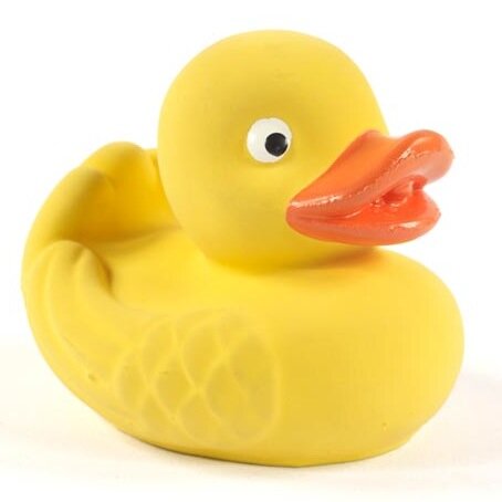 Plokhi's profile picture. FUCKING QUACK