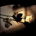 Celia Guillen - @ortgea12034 - Twitter