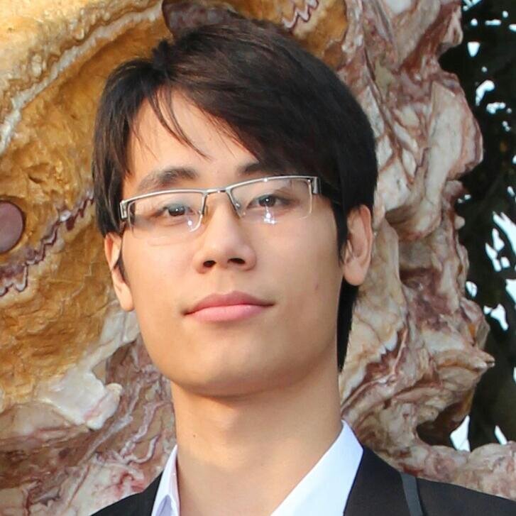 Software developer