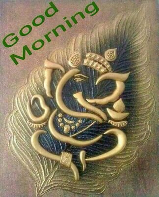 falgunisshah's profile picture. 