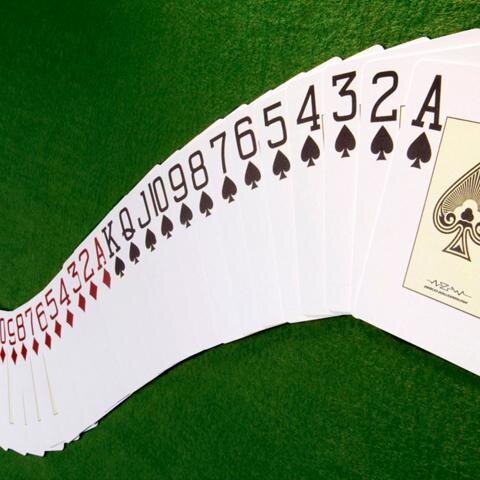 norge_casino's profile picture. 