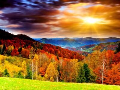 In order to succeed, your desire for success should be greater than your fear of failure. - Bill Cosby