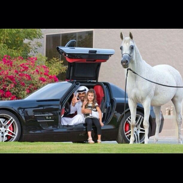 ass1717's profile picture. ‏‏