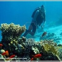 Sulawesi tour (@sulawesi_tour) 's Twitter Profile