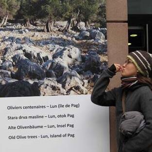 julesappel's profile picture. Lern- und lehrbegeistert!
I love learning and teaching.
Always interested in finding out new learning-tools.