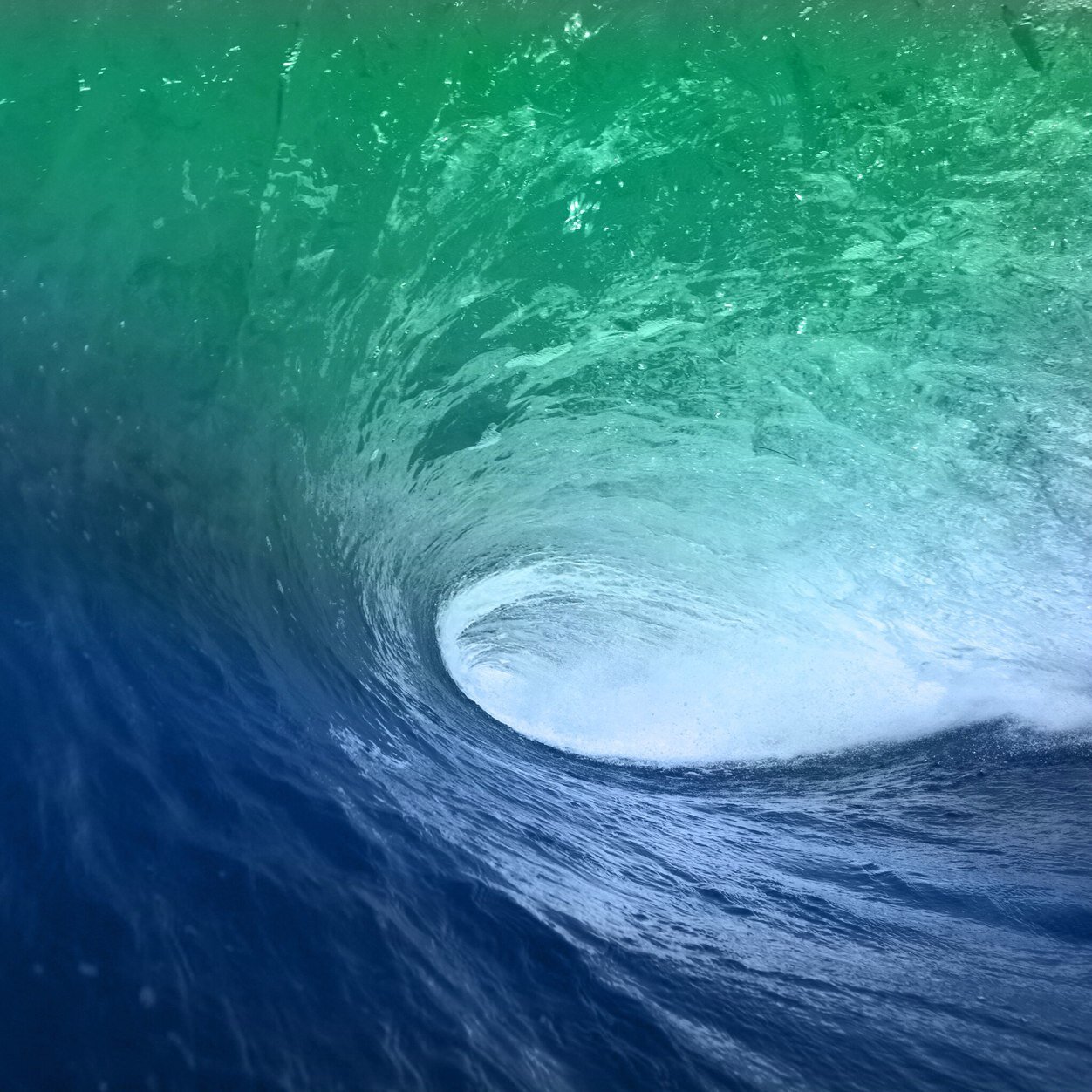 EvgenyAndreevi4's profile picture. 