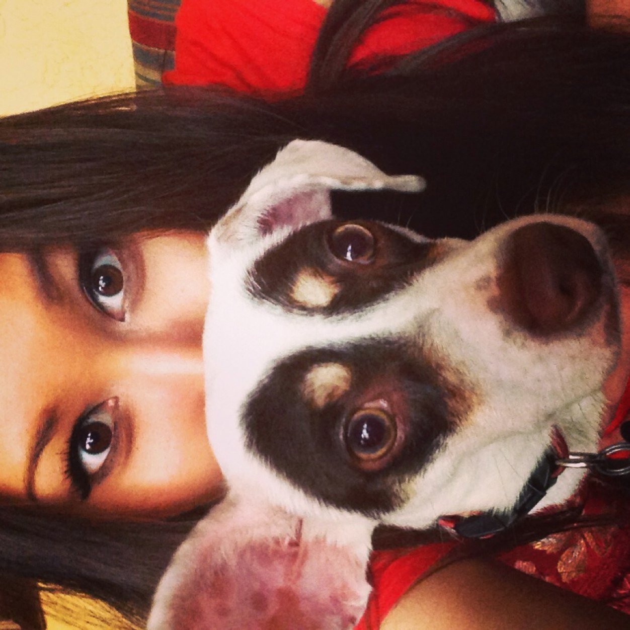 courtasdfney's profile picture. Sriracha=lyfe