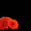 Theresa Sinclair - @TheresaSinclai6 - Twitter