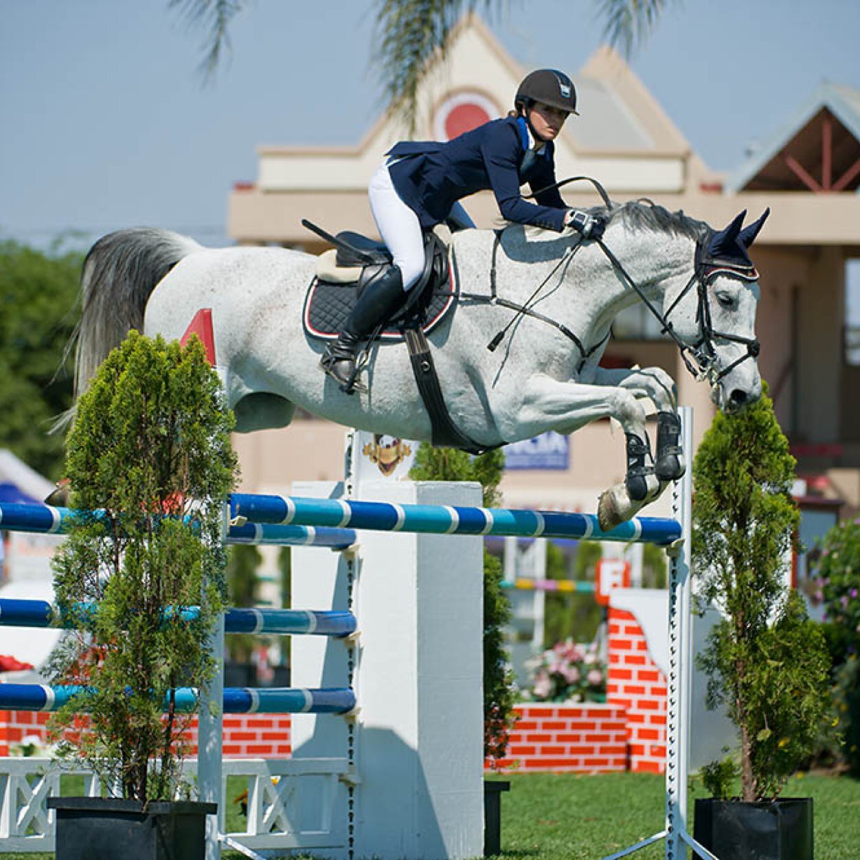 TeamNissanLexi's profile picture. Showjumper sponsored by NISSAN SA. Competed at the 2014 Youth Olympic Games in showjumping and World Equestrian Games in vaulting. Instagram: @lexistais16