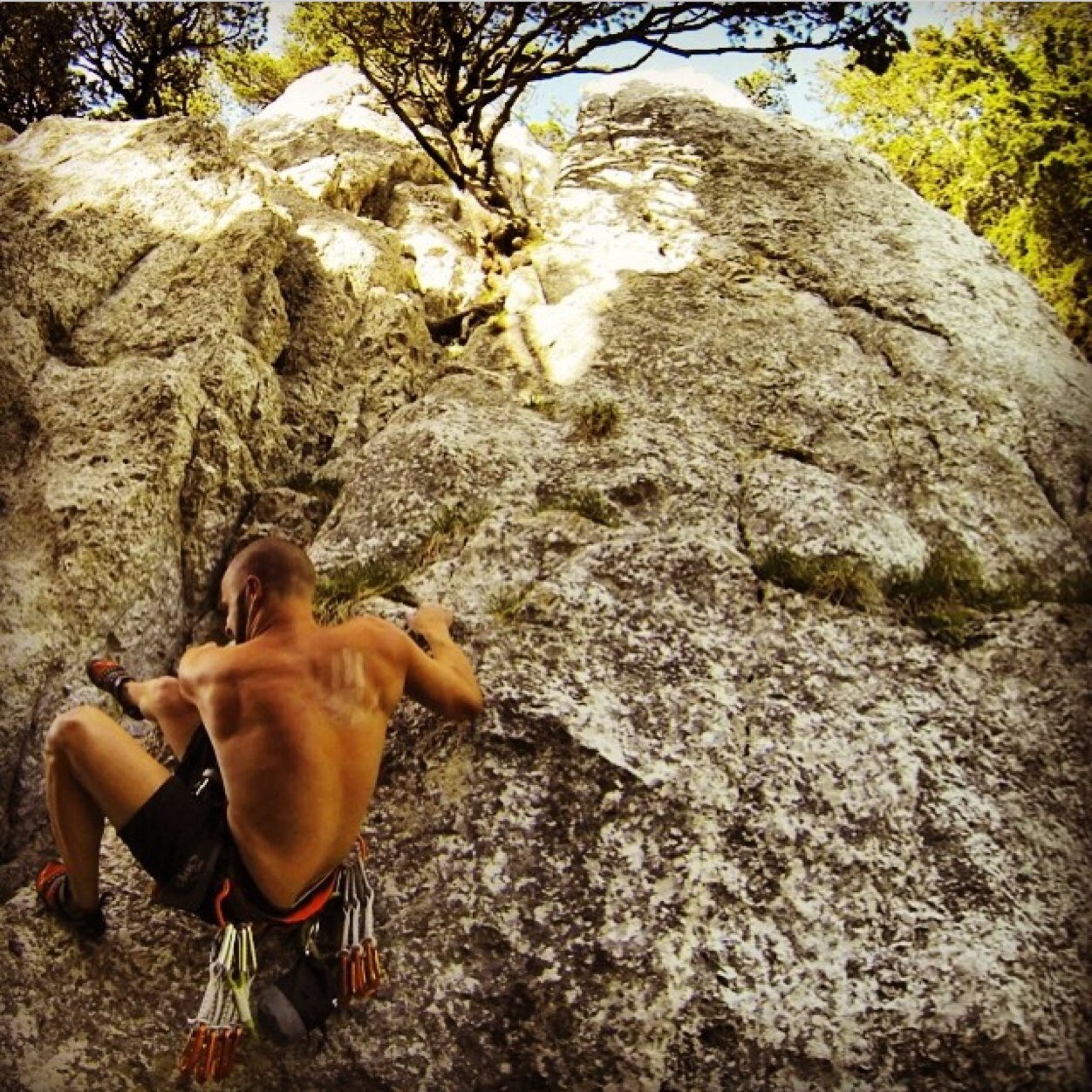 LuFuser's profile picture. I thank whatever gods may be for my unconquerable soul.