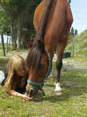 horseriding | kneeboarding