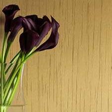 vthcobr's profile picture. Keep moving forward.