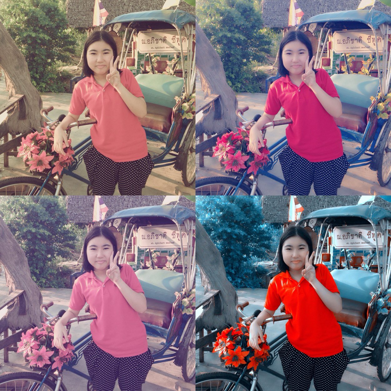 BombmintFanclub's profile picture. 