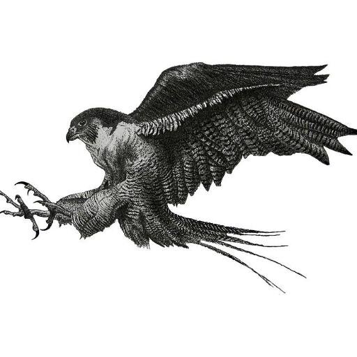 truth_agent's profile picture. ‏עוד לא מצאתי את סופר הצללים המתאים שיכתוב את הביוגרפיה שלי.