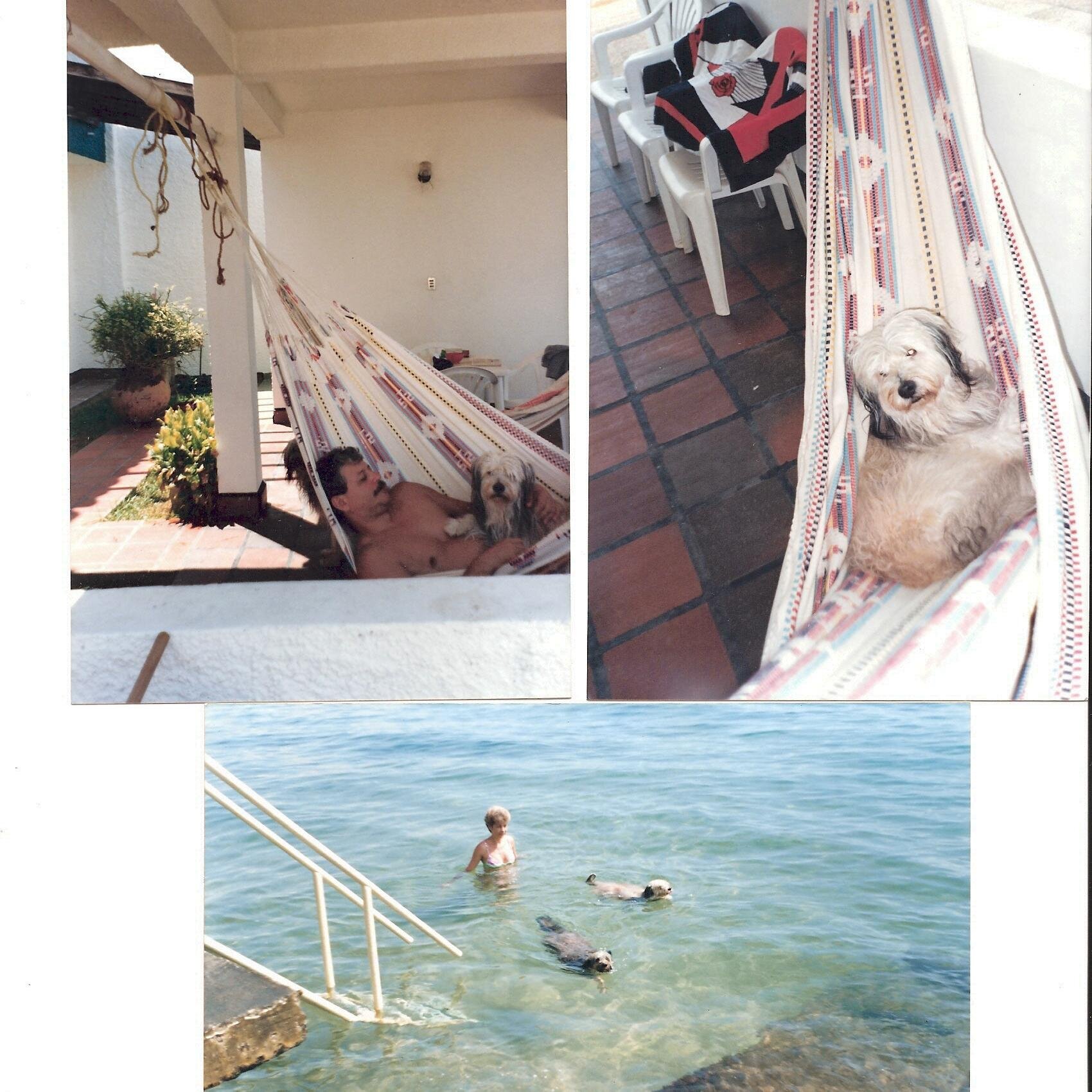 marialu1326's profile picture. 