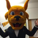 Allan Castillo - @Alpharanko - Twitter