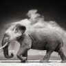 javiromanrh's profile picture. Open Source @ApacheMyriad, @TheASF, Big Data, Distributed Systems Development at @keedio and Photography at https://t.co/o02sLKjzIN
