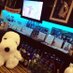 🐻 (@pyoridayo) Twitter profile photo 🐻 (@pyoridayo) Twitter profile photo