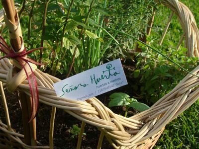 SraHuerta_'s profile picture. Nos interesa la vida al aire libre, el trabajo en la tierra, las prácticas sustentables, integrar la huerta al paisaje, el jardín ecológico