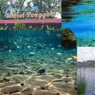 Tempat snorkling air tawar, foto underwater, belajar Diving. bunakenya Klaten Jawa Tengah :) More info cek fav. :)