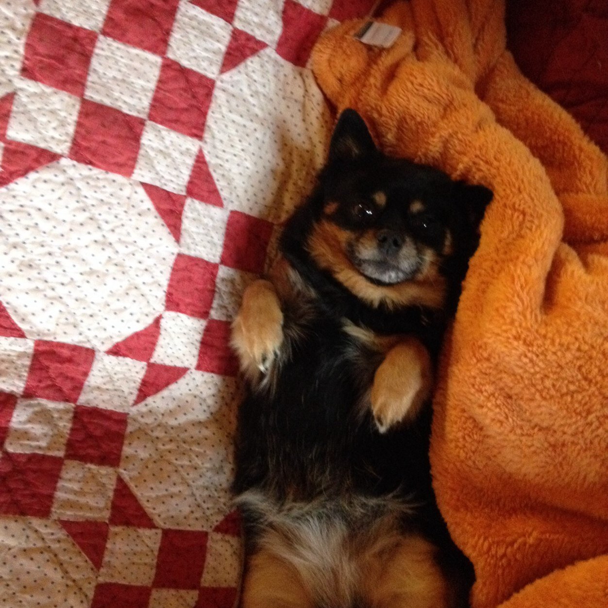 jlky12's profile picture. 