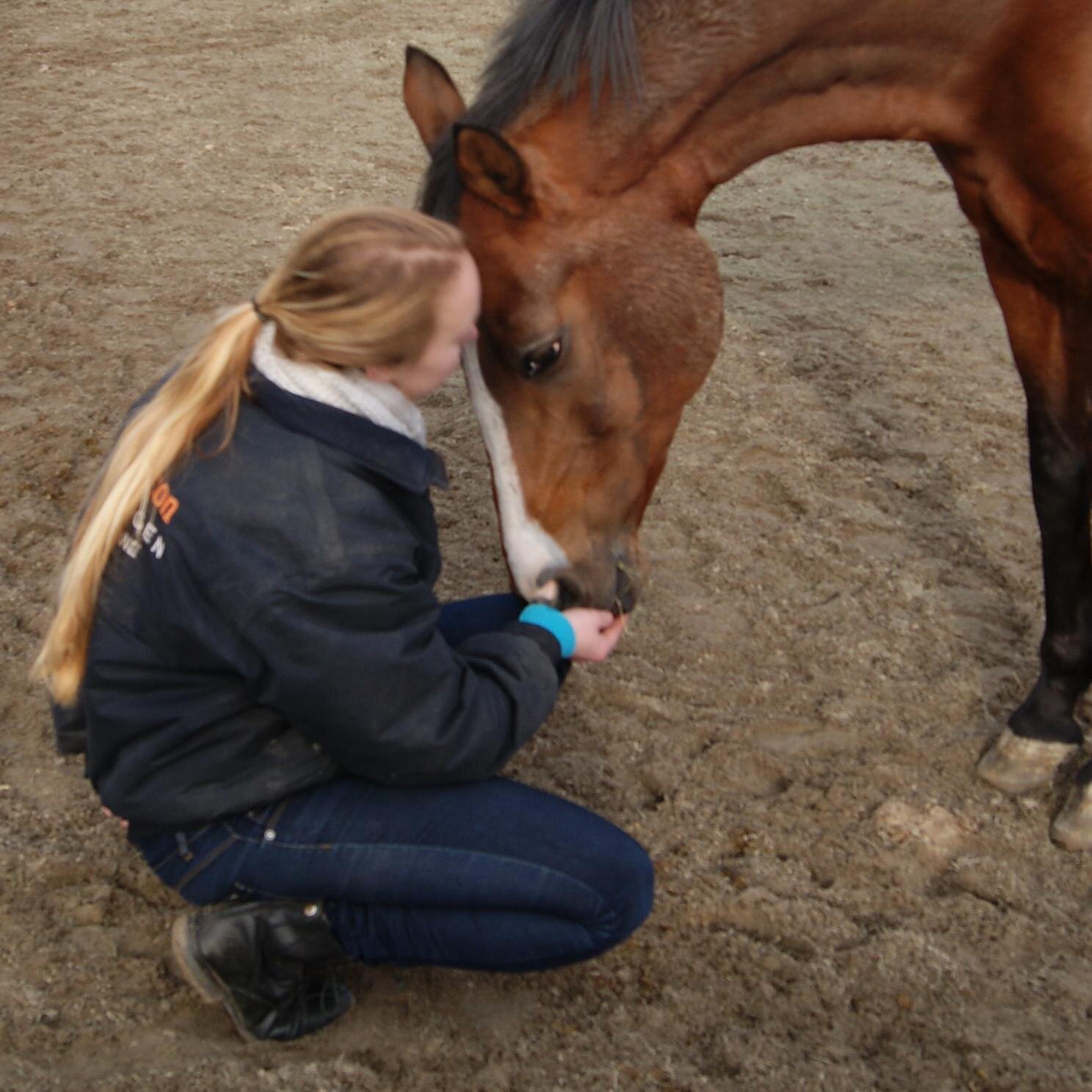 Darkflowr's profile picture. ♔ Just be who you are ♔