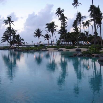 SierraSte4rns's profile picture. Bacon trailblazer ,  degree in .My story...Total alcohol fan #