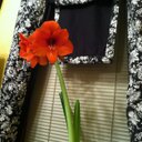 margaret ferrante - @pegfrnt - Twitter