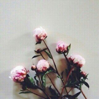 ‏‏‏‏‏‏استغفر الله العظيم واتوب اليه .