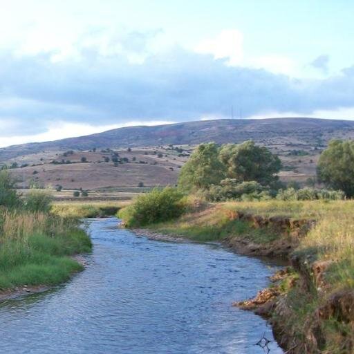 SanalBenim's profile picture. Yazar&Eğitmen