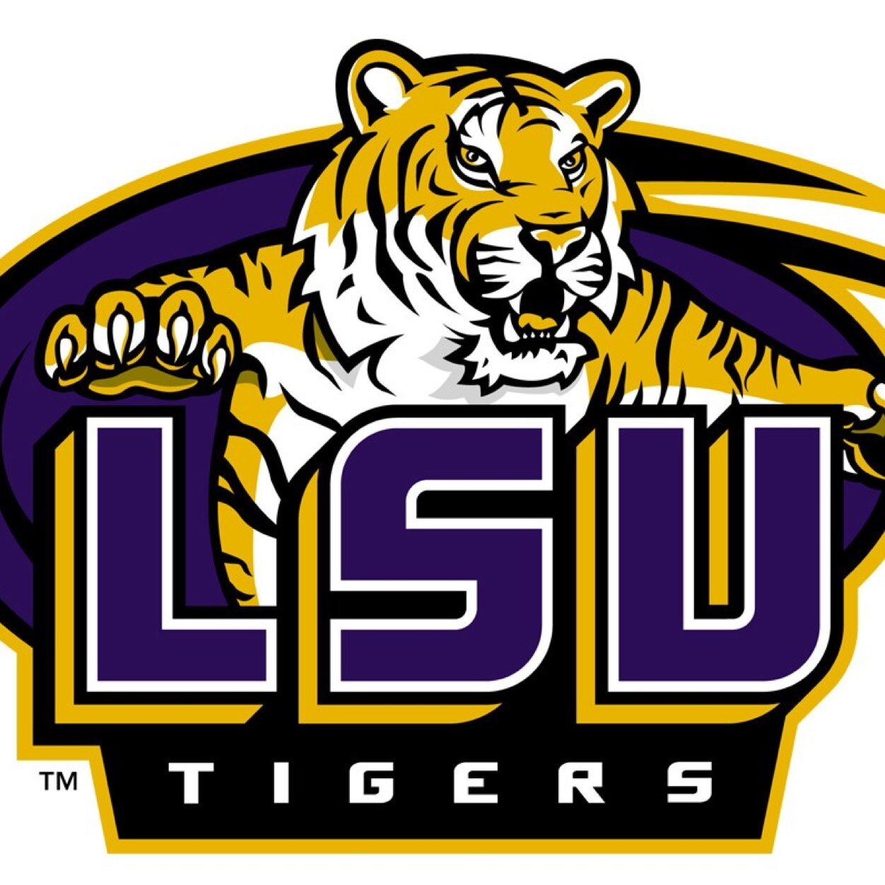 For those moments you just have to stop and say Geaux Tigers!