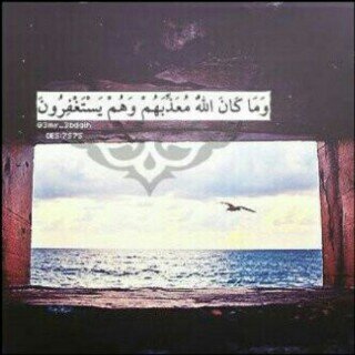 Alshmal♥