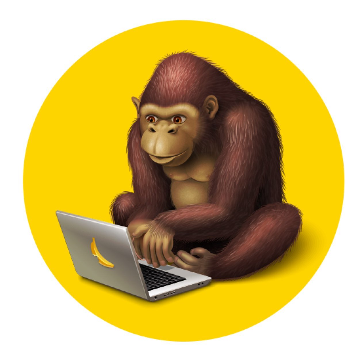 promokir's profile picture. 