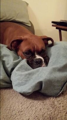 mkinder366's profile picture. 