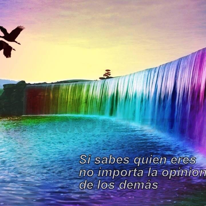 soy una persona totalmente distinta me encanta valorar a todos por sus diferencias me gusta ser justa para mi lo importante es el respeto al ser humano