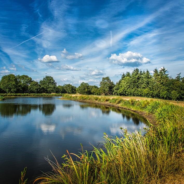 We extend a very warm welcome to members, societies and visitors alike. Petersfield Golf Club is situated in an area of outstanding natural beauty.