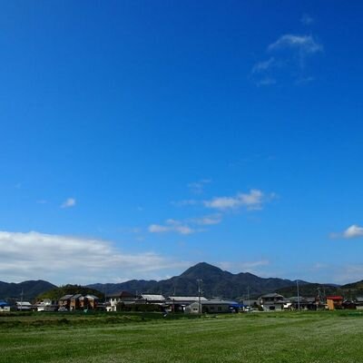 mtk_mym's profile picture. 