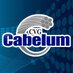 Cabelum Activa (@sintracabel) Twitter profile photo