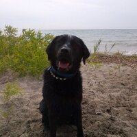 Steph Gagnon (@stephgagnon) 's Twitter Profile