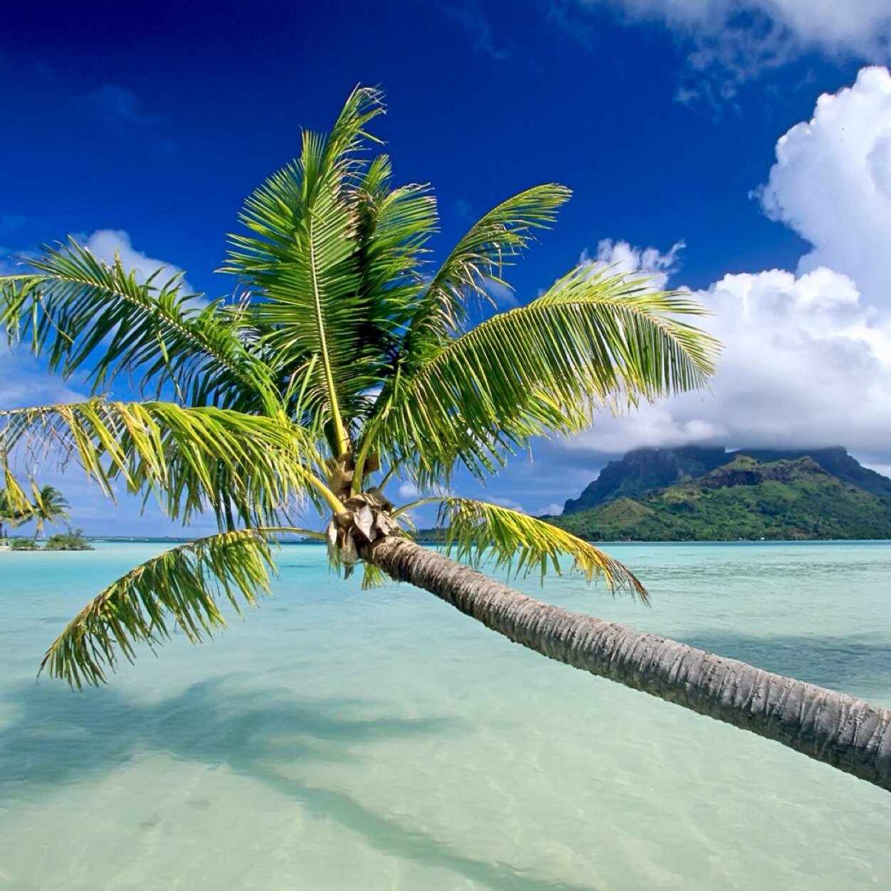 Love4TheSand's profile picture. Sharing my love for the beach with you. Send my your favorite beaches at Love4TheSand@gmail.com